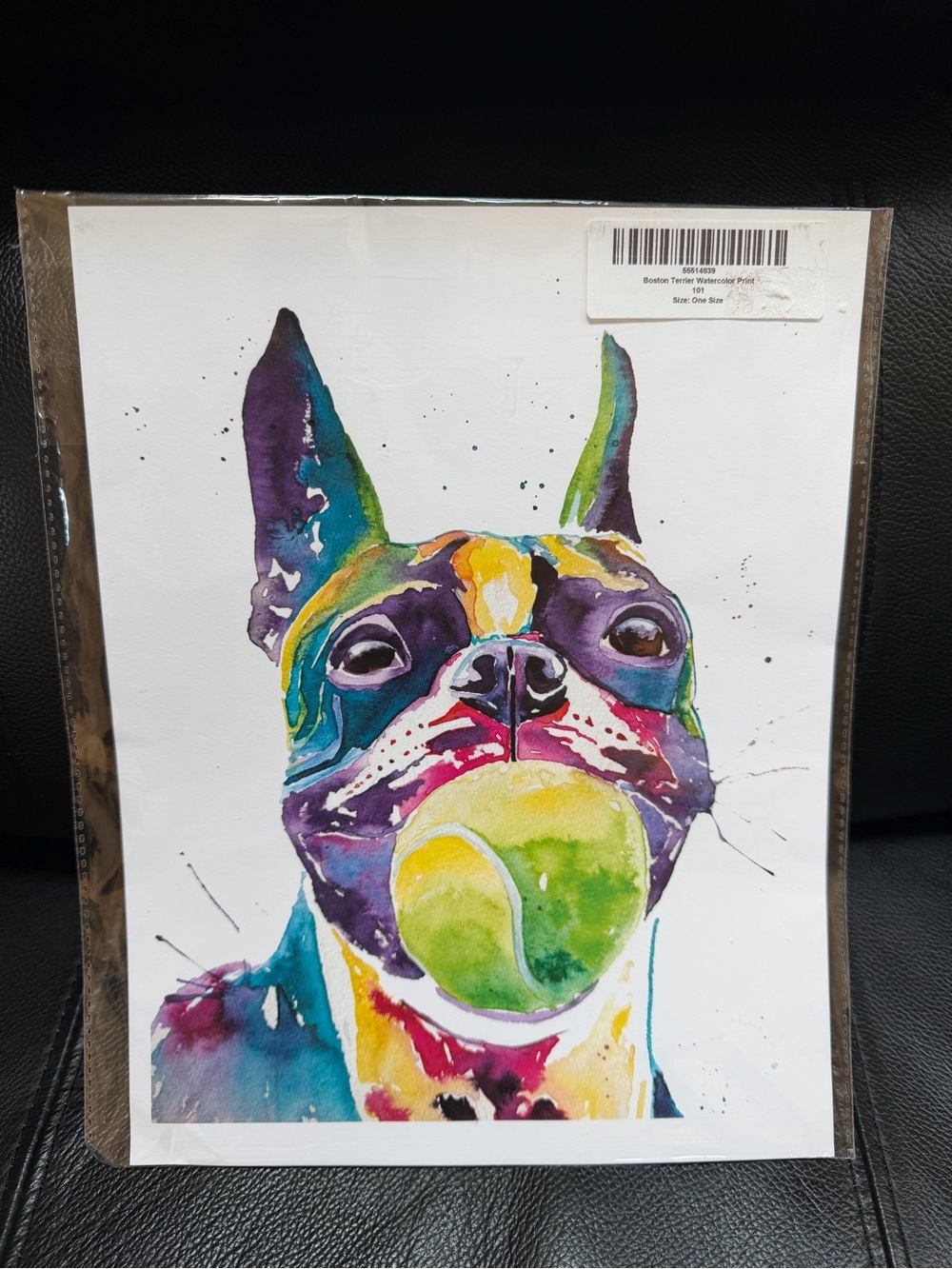 Boston Terrier Watercolor Print